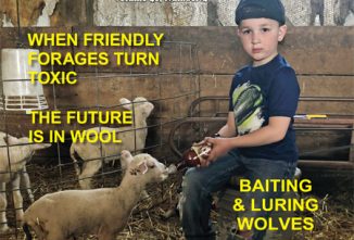 sheep! July/August 2019